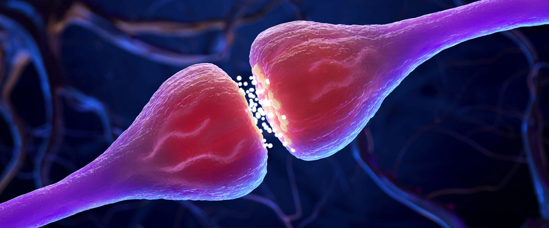Darstellung von Nervenzellen, die Signale über eine Synapse übertragen.