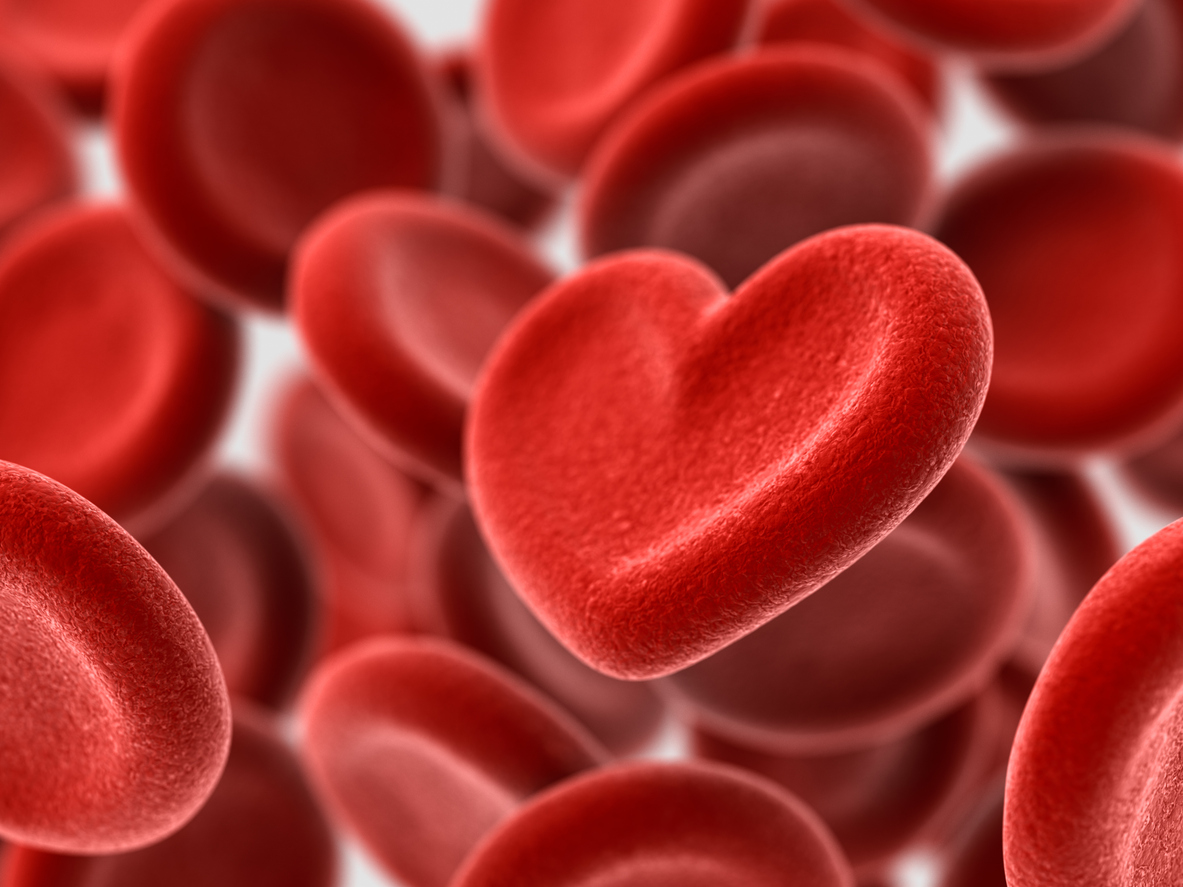 Herzblut für Bluttuning – individuelle Molekularmedizin und Gesundheitsoptimierung
